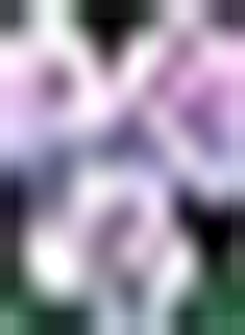 جي جوت 100 قطعة من بذور الورد الأرجواني لا تحتاج إلى الكثير من العناية، ديكور فني يدوي الصنع، اختيار جيد لزراعة الزهور الجميلة لإضاءة حديقتك - Image 1