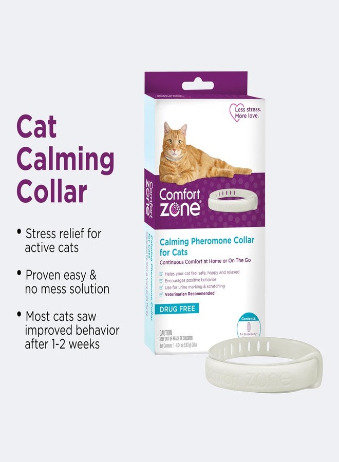 كومفورت زون صندوق هدايا كومفورت زون كات داد 2025 - Image 4