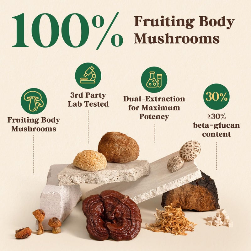 Fidus 16 Mushroom Supplement Powder with 17,300mg, 90 Day Servings Mushroom Coffee Alternative for Immunity, Focus & Energy with Ashwagandha, Lion's Mane, Chaga and Reishi, 100% Fruiting Bodies - Image 4