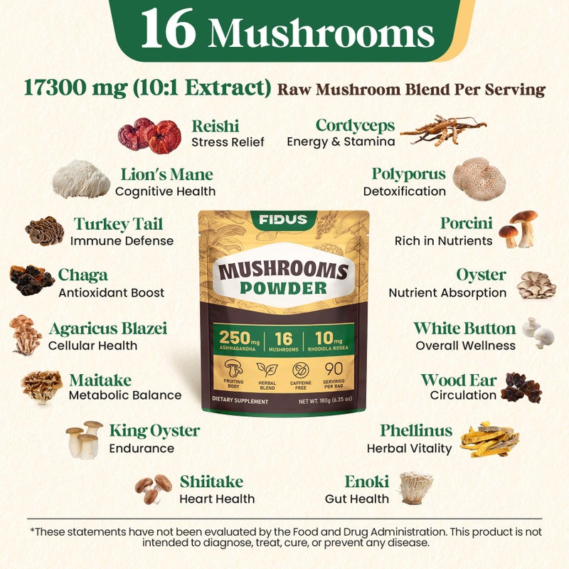 Fidus 16 Mushroom Supplement Powder with 17,300mg, 90 Day Servings Mushroom Coffee Alternative for Immunity, Focus & Energy with Ashwagandha, Lion's Mane, Chaga and Reishi, 100% Fruiting Bodies - Image 5