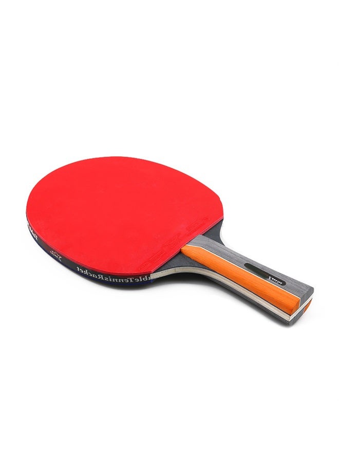 هومستر ملاعب تنس الطاولة مجموعة مع كرات بينغ بونغ وقضية ، ملاعب تنس الطاولة المحمولة ملاعب ممتازة ، تلعب في أي مكان - Image 3