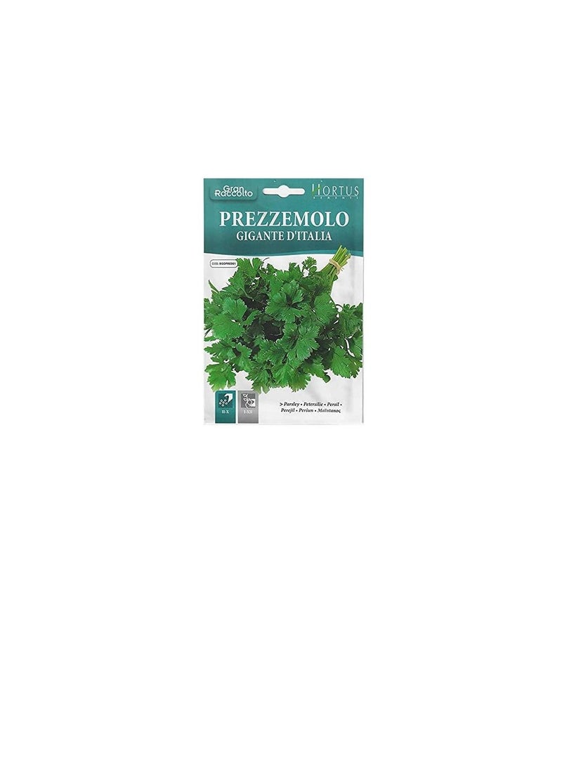 Generic Premium Quality Seeds  - Image 2