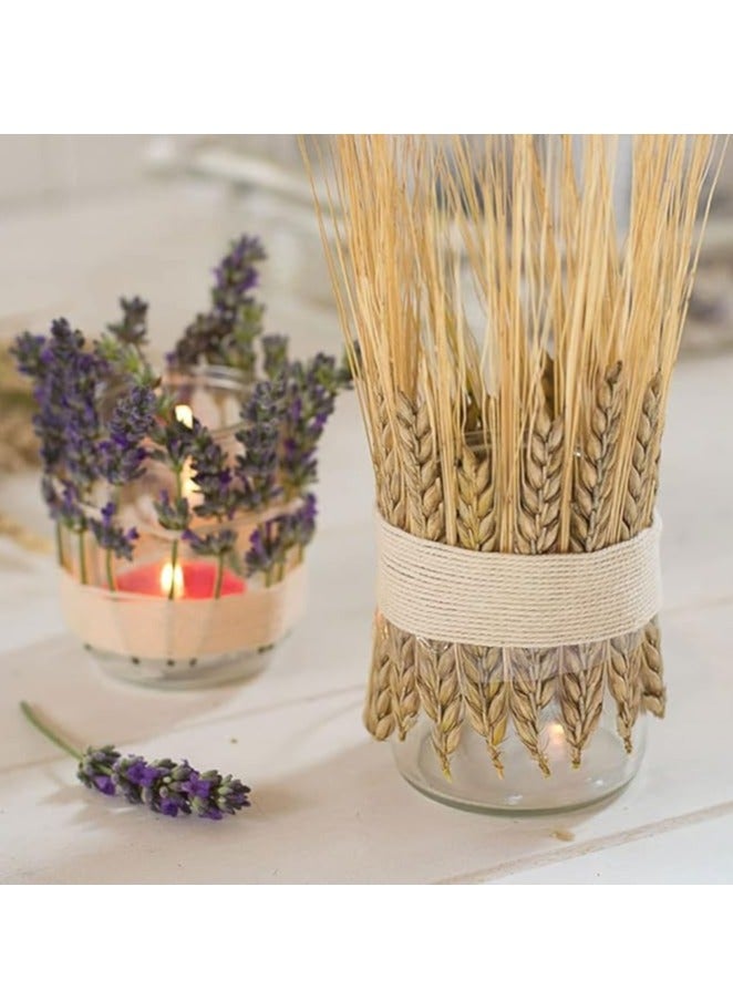 DUNISO 100 Fall Stems Dried Wheat Stalks Dried, Natural Ear of Wheat Grain Flowers for Home Dining Table Flower Arrangement Art Wedding Decoration - Image 5