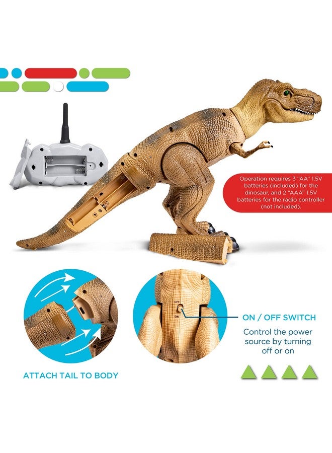 Discovery Kids Remote Control Rc T Rex Dinosaur Electronic Toy Action Figure Moving & Walking Robot W/Roaring Sounds & Chomping Mouth, Realistic Plastic Model, Boys & Girls 6 Years Old+  - Image 5