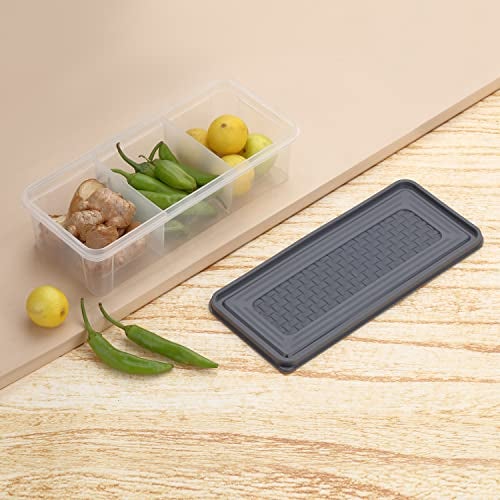 RUSHIL WERE 3 Partition Fridge container Boxes Organizer | Pack of 2 | Free 1 Grater | Plastic Storage Box For Kitchen | Microwave Safe | Durable | Multipurpose | Air Tight | Grey - Image 5