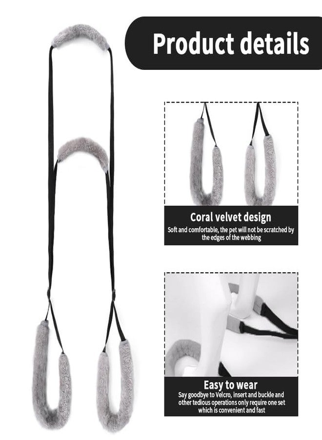 TARINI Dog Sling, Dog Lifting Harness, Adjustable Portable Dog Lifting Harness, Disability Dogs Rehabilitation Training Aid, Leg Support Sling for Injured Elderly Dogs Walking Assistant - Image 3