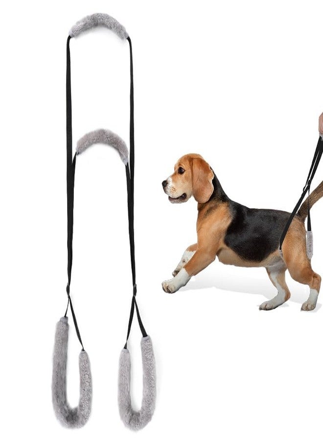 TARINI Dog Sling, Dog Lifting Harness, Adjustable Portable Dog Lifting Harness, Disability Dogs Rehabilitation Training Aid, Leg Support Sling for Injured Elderly Dogs Walking Assistant - Image 1