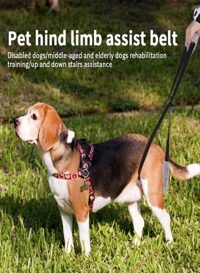 TARINI Dog Sling, Dog Lifting Harness, Adjustable Portable Dog Lifting Harness, Disability Dogs Rehabilitation Training Aid, Leg Support Sling for Injured Elderly Dogs Walking Assistant - Image 5