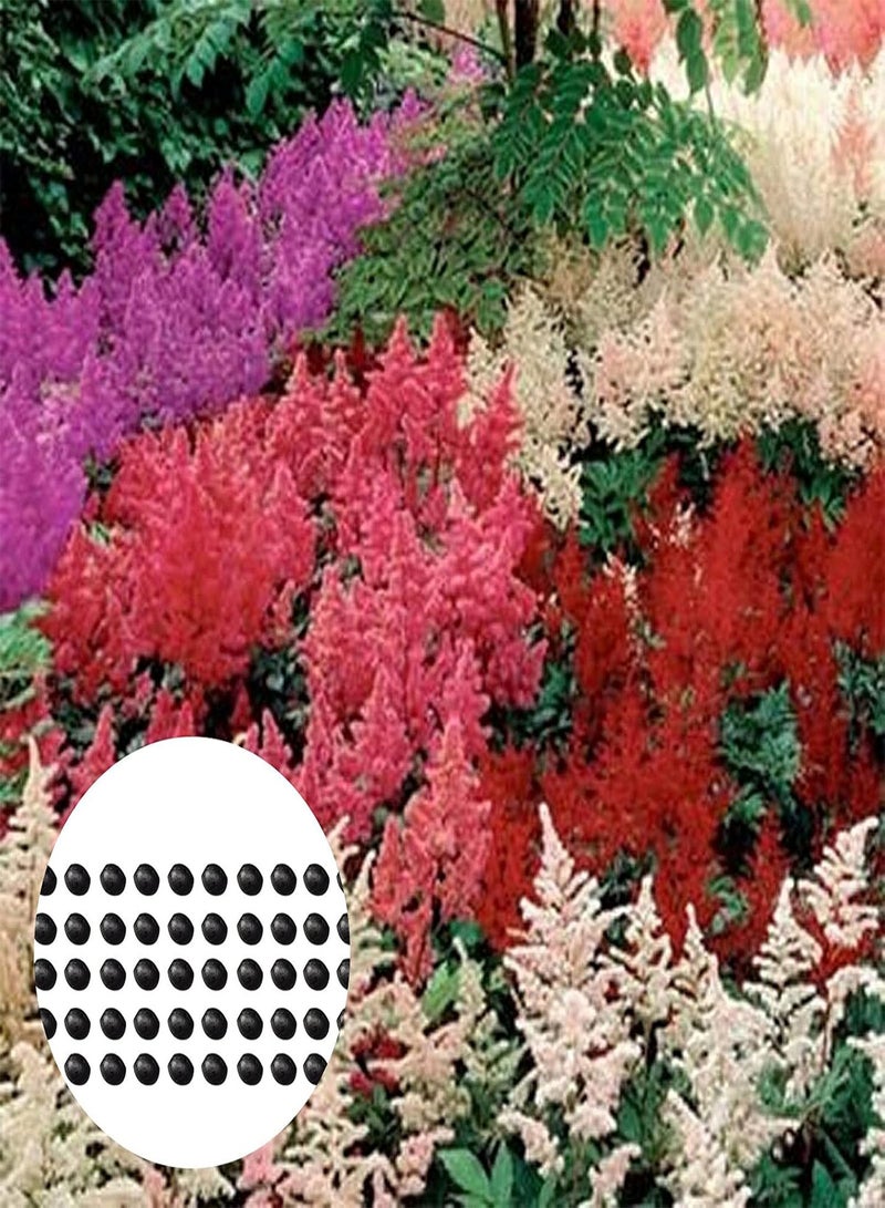 GGOOT Plant Seed 50Pcs/Bag Astilbe Seeds Mix Color Full of Vitality Bright Natural Garden Astilbe Seedlings for Bonsai - Astilbe Seeds - Image 1