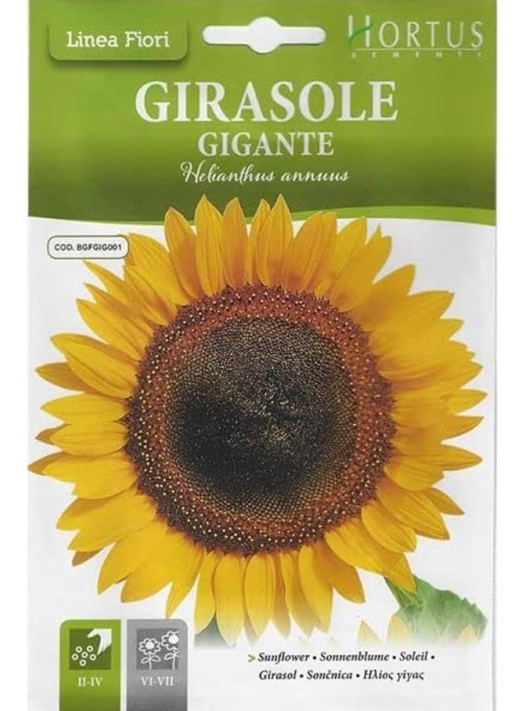 هورتس بذور عباد الشمس الفاخرة Hortus (Girasole Gigante) (صنع في إيطاليا) من Hortus Sementi - Image 1