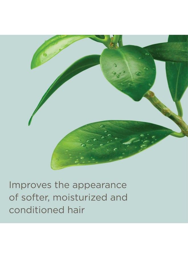 Hairitage Hairitage Leave-in Conditioner Spray - Leave-In Hair Treatment - Detangles + Fortifies - Reduces Breakage + Deep Conditions, 6 fl oz  - Image 5