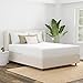 Aller-Ease AllerEase Cotton Fresh Mattress Protector  Twin Size Cotton Zip Flexfit Waterproof Allergy Defense Odor Neutralizing - Image 2