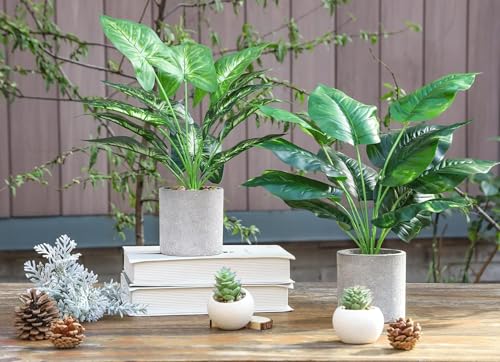 JC nateva 2pcs 16" Fake Plants Artificial Plants Tropical Faux Plants Indoor for Bathroom Kitchen Office Home Sage Green Decor - Image 2