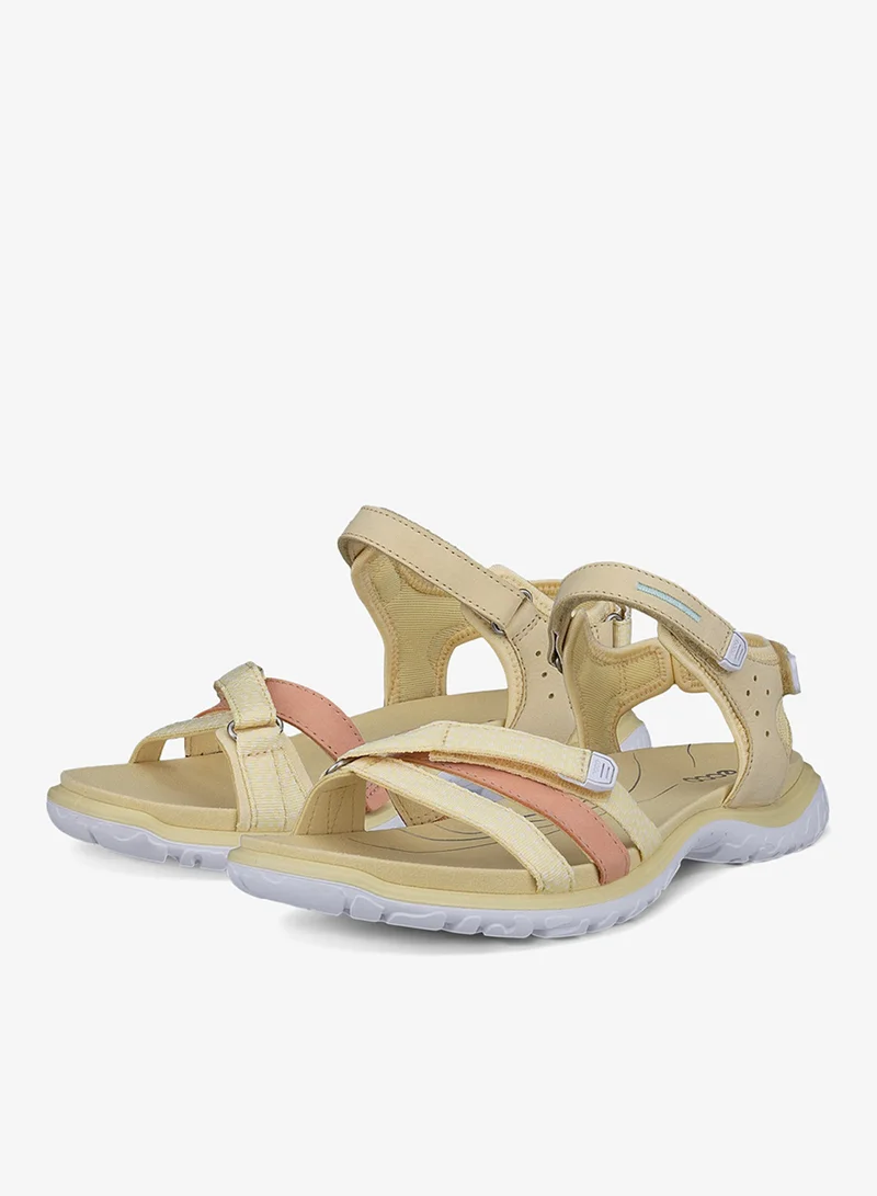 إيكو إيكو أوف رود روام دبليو سترو