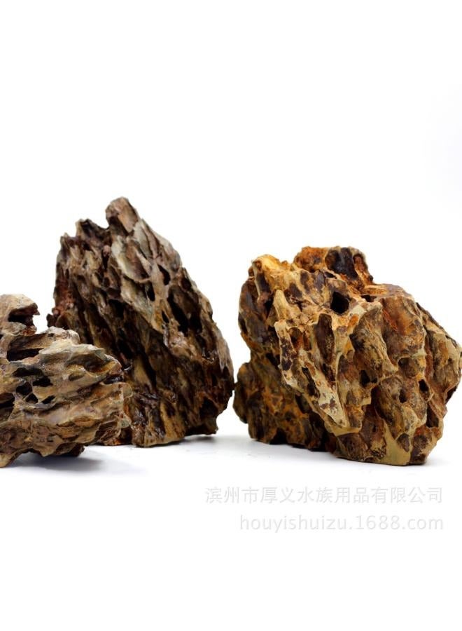 أسماك التنين الصخرية الطبيعية الخام والمناظر الطبيعية الجنينة وأحواض السمك ونباتات الزينة والمناظر الطبيعية والعشب المائي BK - Image 1