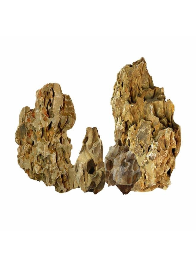 أسماك التنين الصخرية الطبيعية الخام والمناظر الطبيعية الجنينة وأحواض السمك ونباتات الزينة والمناظر الطبيعية والعشب المائي BK - Image 2