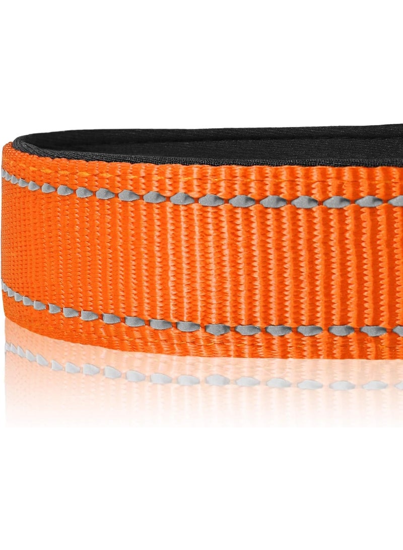Q TRIPLE A Reflective Dog Collar with Soft Neoprene Padding, Metal D-Ring and Adjustable Length, Premium Nylon Material (Color: Orange) - Image 2