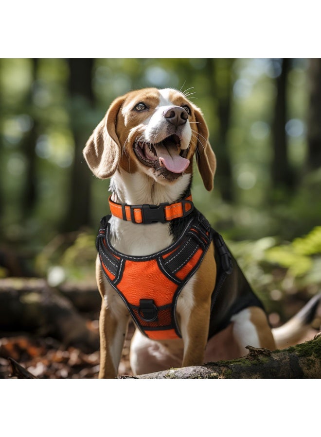 Q TRIPLE A Reflective Dog Collar with Soft Neoprene Padding, Metal D-Ring and Adjustable Length, Premium Nylon Material (Color: Orange) - Image 4