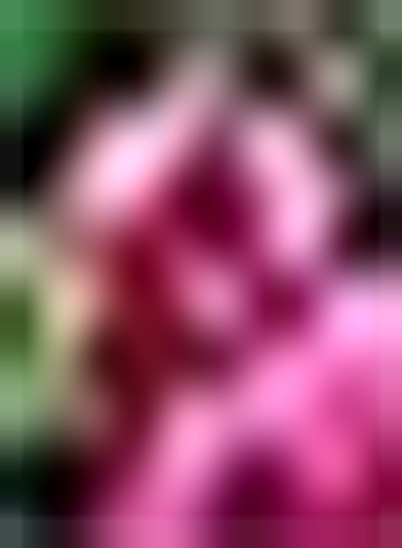 جي جوت 100 قطعة من فاكهة القرع المزروعة في حديقة فاكهة خاصة من النوع ziehen Passanten an Lob um Anfängern Erfolgserlebnisse zu Bringen - Image 2