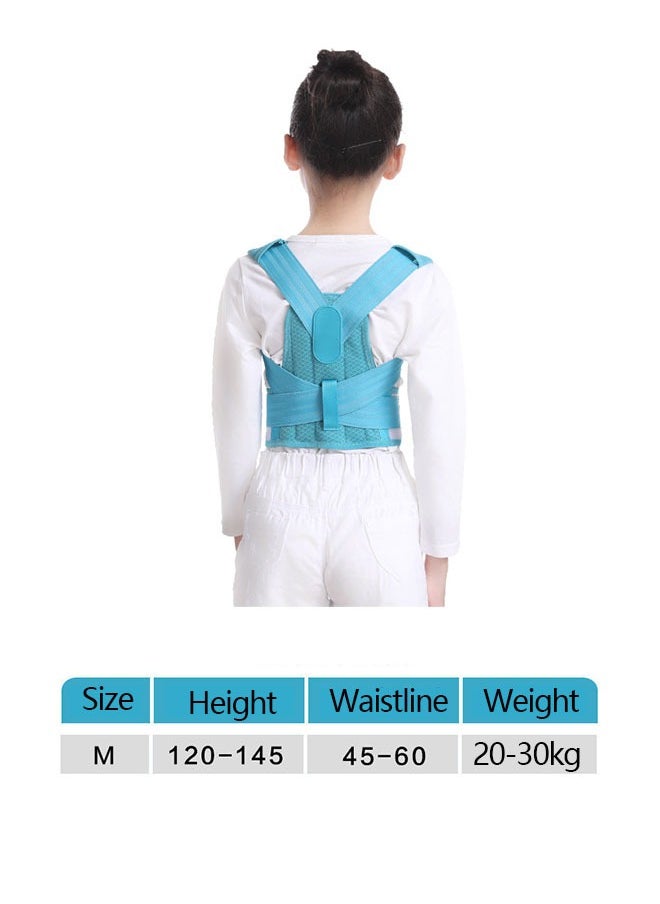 Ant Professional Posture Corrector for Kids and Teens, Adjustable Back Straighter for Teenagers to Provide Spinal Support Improve Posture Back Pain Relief (M)  - Image 2