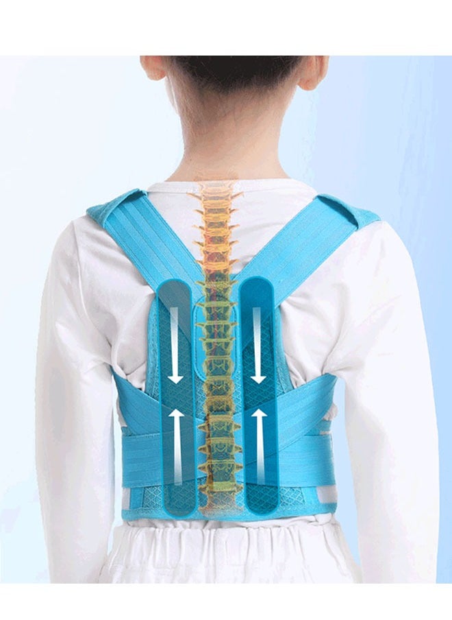 Ant Professional Posture Corrector for Kids and Teens, Adjustable Back Straighter for Teenagers to Provide Spinal Support Improve Posture Back Pain Relief (M)  - Image 3