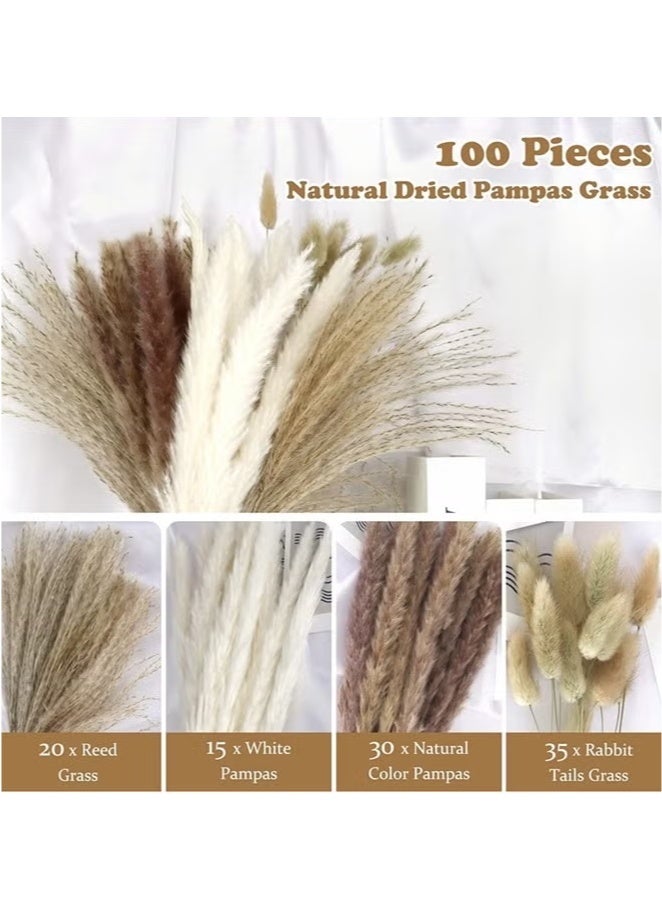 YelaJoy Natural Dried Pampas Grass Bouquet 100 Pcs Dried Reed Flowers Boho Home Decor Fluffy Stem Bouquet for Home Table Decorations Wedding Floral Arrangements - Image 3