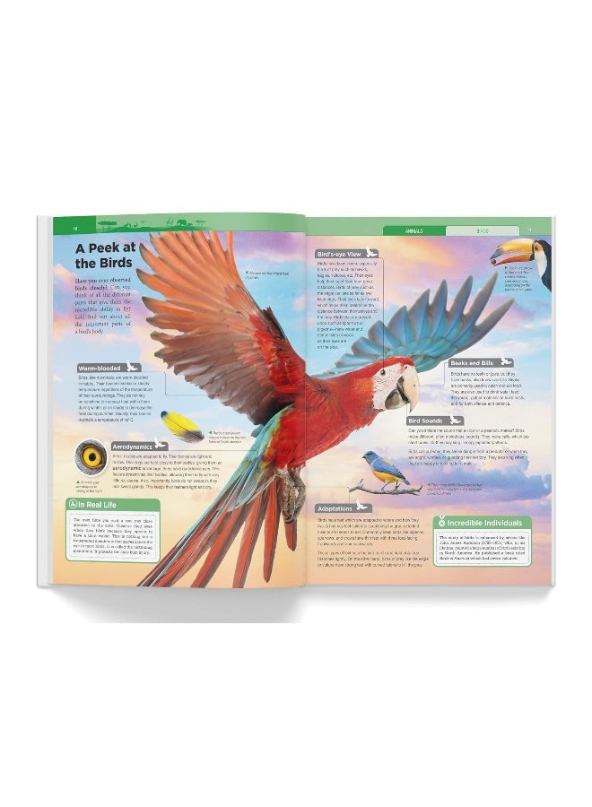 Knowledge Encyclopedia - Animals - Image 4