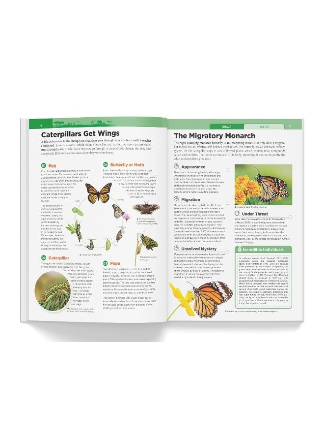 Knowledge Encyclopedia - Animals - Image 5