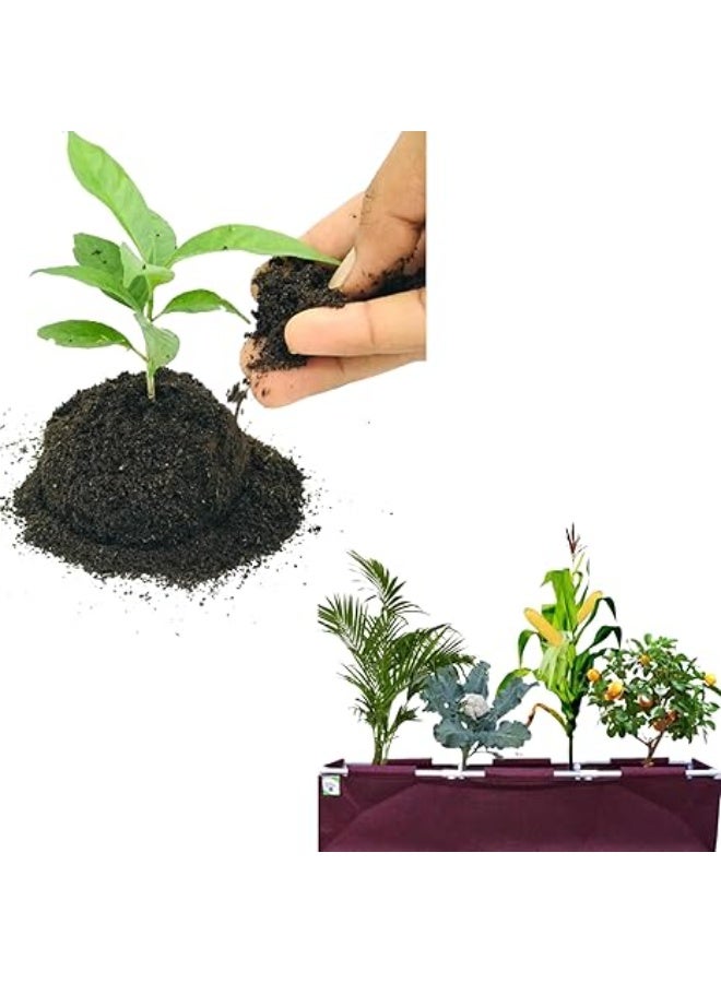KNP Organic Cow Manure Powder Fertilizer For Home Gardening & Plants Multi-Purpose Fertilizers 4 KG - Image 2