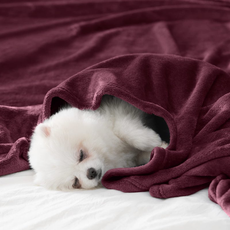 Beautex Fleece رمي بطانية لأريكة الأريكة أو سرير الحجم الناعم اللطيف بطانية الفانيلا الفانيلا الفانيلا لفة بطانية سوبر مريحة لجميع المواسم (النبيذ 50 "" × 60 "") - Image 2