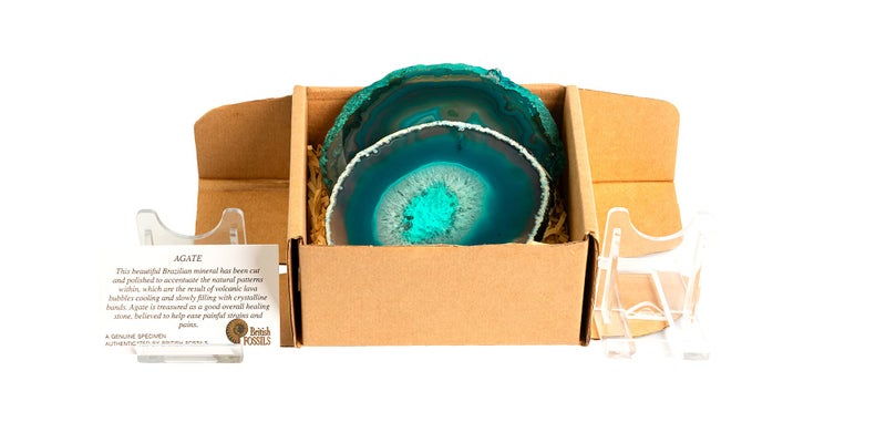 British Fossils Genuine Teal Agate Coaster Pair  Gift Boxed