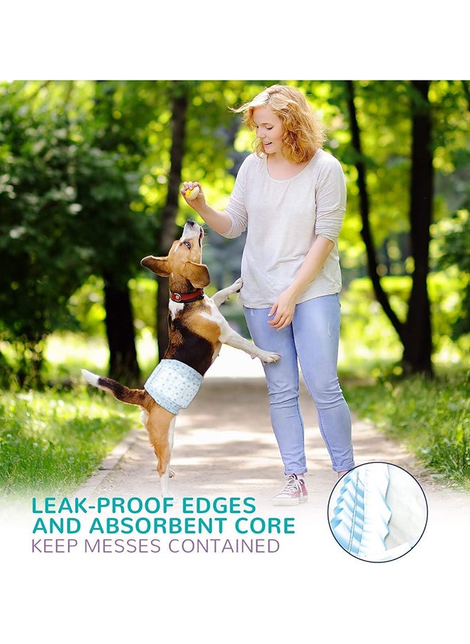 SKY-TOUCH 12 pieces Dog Nappies Male,Disposable Dog Belly Bands for Dog Male,Super Absorbent & 360°Leakage Protection,Preventing Dogs from Marking and Urinating in the Room,M,Blue  - Image 4