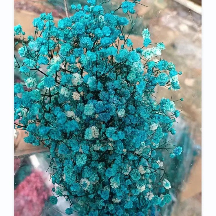 Bluejw O-038 Hot Sale Natural Real Baby's Breath Wedding Home Decor – Preserved Dried Gypsophila Bouquets, Long-Lasting Dried Plants for Arrangements & Gifts - Image 1