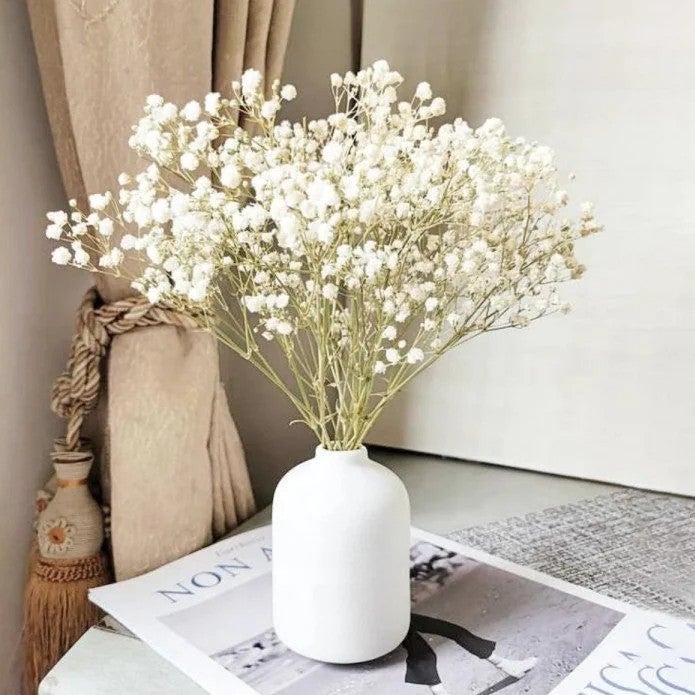 Bluejw O-038 Hot Sale Natural Real Baby's Breath Wedding Home Decor – Preserved Dried Gypsophila Bouquets, Long-Lasting Dried Plants for Arrangements & Gifts - Image 2