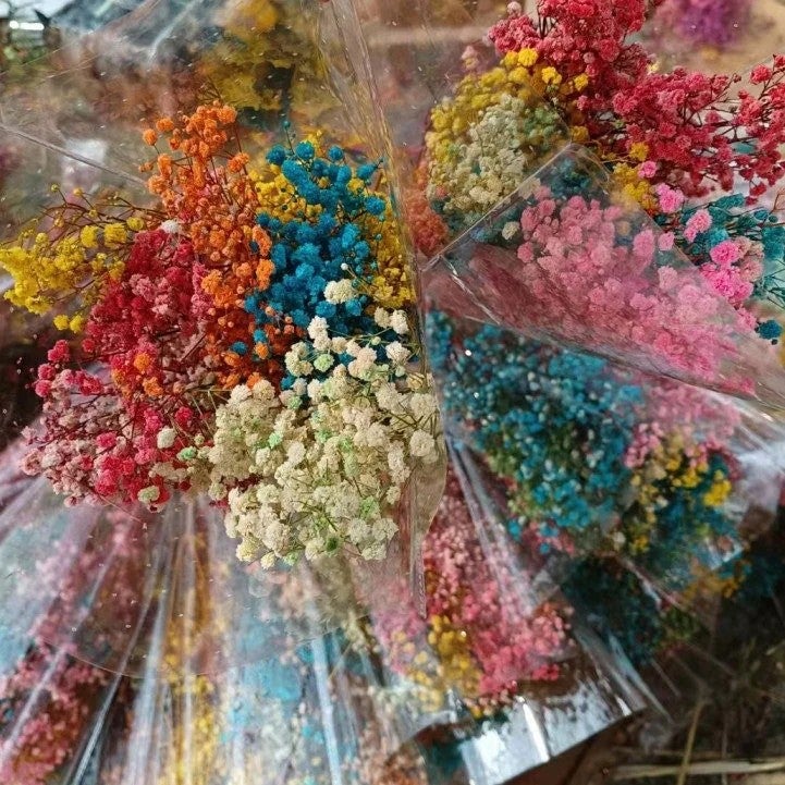 Bluejw O-038 Hot Sale Natural Real Baby's Breath Wedding Home Decor – Preserved Dried Gypsophila Bouquets, Long-Lasting Dried Plants for Arrangements & Gifts - Image 3