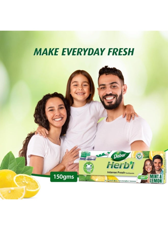 دابر معجون أسنان دابور هيربال إنتنس جل برائحة منعشة (١٥٠ غرام + فرشاة أسنان) | بمزيج من النعناع والليمون | معجون أسنان جل طبيعي لرائحة فم منعشة - Image 2