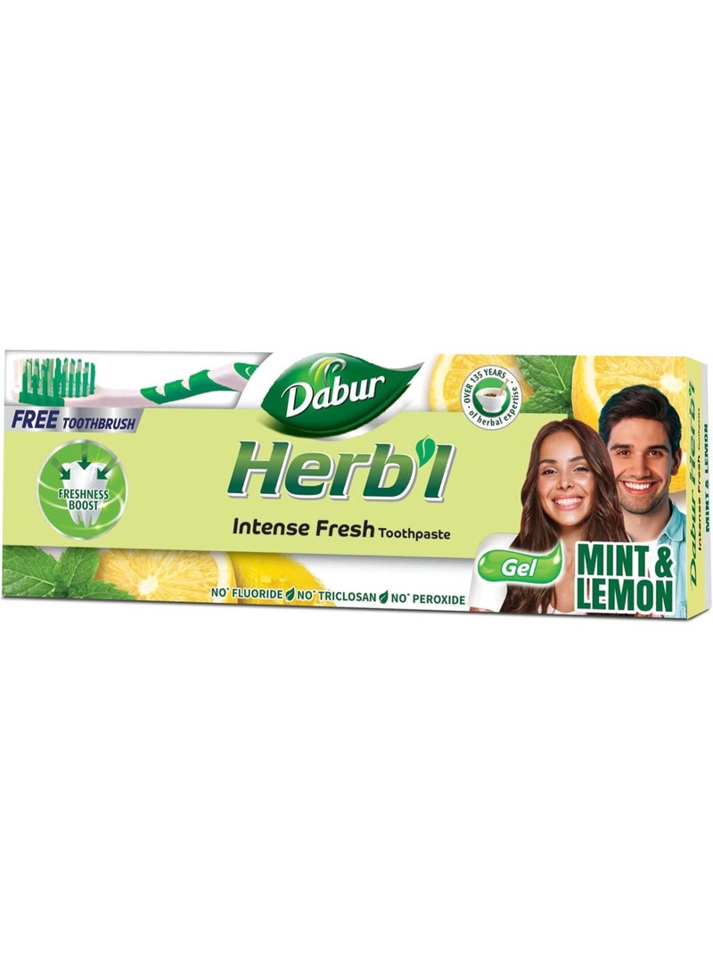 دابر معجون أسنان دابور هيربال إنتنس جل برائحة منعشة (١٥٠ غرام + فرشاة أسنان) | بمزيج من النعناع والليمون | معجون أسنان جل طبيعي لرائحة فم منعشة - Image 1