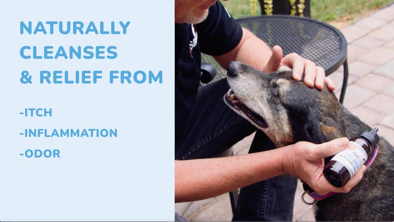 PetSilver Dog Ear Cleaner Solution â€“ Gentle Ear Wash for Dogs and Cats with Chelated Silver â€“ Otic Rinse Formula Targets Wax Buildup, Smelly Odor, and Itchy or Irritated Areas - Made in USA - 8 fl oz - Image 5