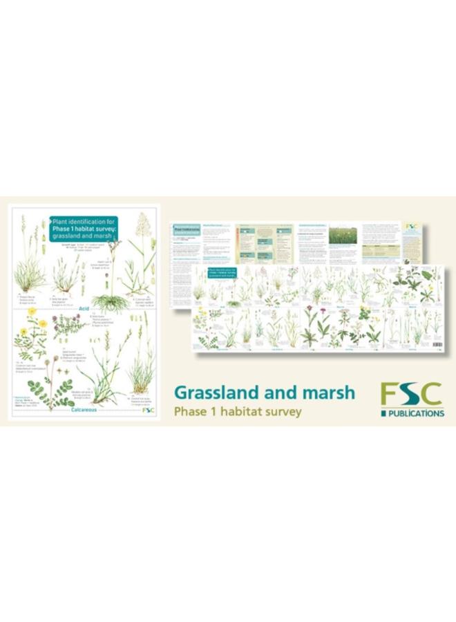 Plant Identification for Phase 1 Habitat Survey: Grassland and Marsh