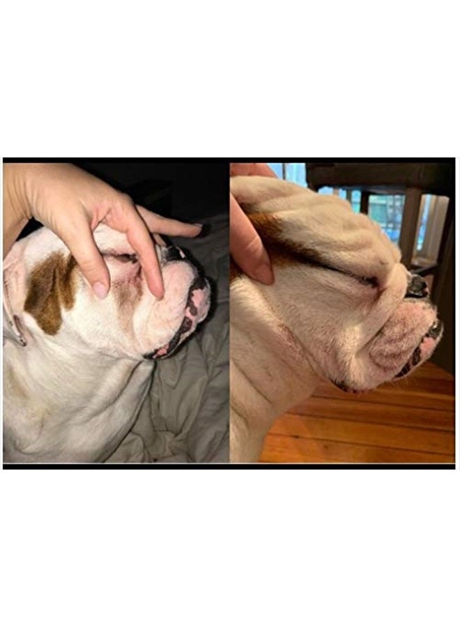 Squishface Tear Stain Paste - Cleans Dog Tear Stains - 2 Oz, Great for Long Hair Dogs Such as Poodles, Terriers and Maltese - Image 5