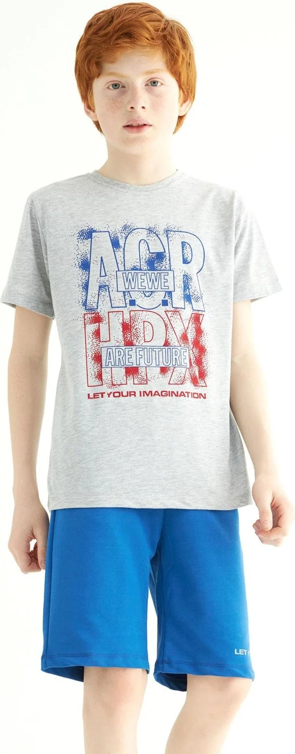 Zepkids Boy's Gray Colored Crew Neck Acr Wewe Printed Capri Set10