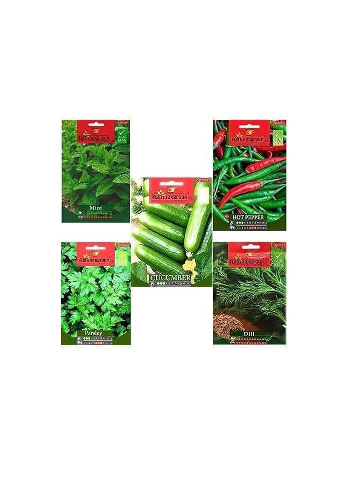 Generic Premium Mix Vegetables and Herbs Seeds - Set of 5 Packets Mint | Dill | Cucumber | hot pepper | Parsely 