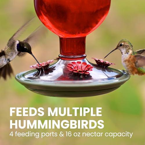 Perky-Pet 8109-2 Antique Glass Bottle Hummingbird Feeder-16-Ounce Capacity, Red - Image 2