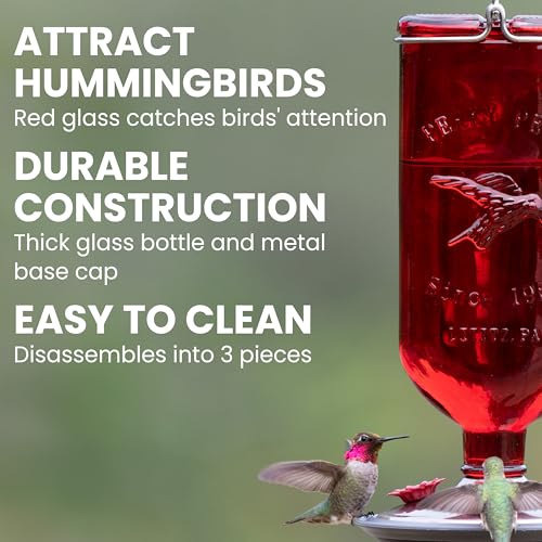 Perky-Pet 8109-2 Antique Glass Bottle Hummingbird Feeder-16-Ounce Capacity, Red - Image 4