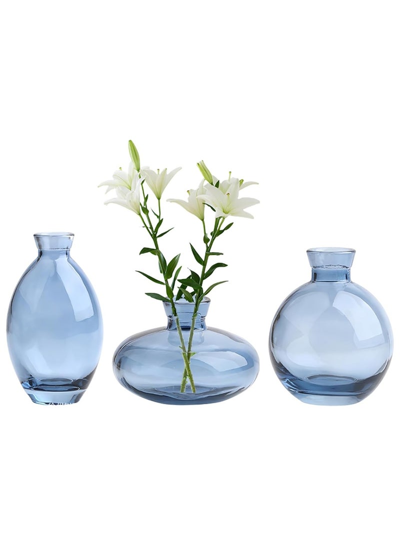 زهرية 3 قطع / مجموعة زهرية صغيرة زهرية زجاجية صغيرة للديكور المكتب Centerpieces,زهرية مصنوعة يدويا للزهور - Image 1