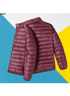 Lightweight Mens Down Cotton Jacket Clearance wine red male collar [special clearance]]