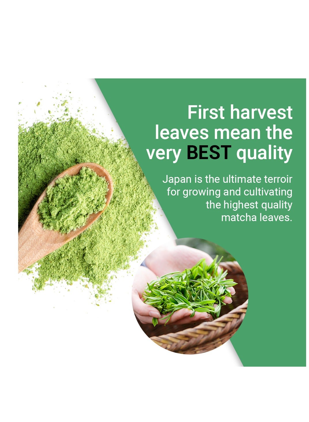 Karezz Organic Japanese Matcha Premium Quality Ceremonial Grade 100g