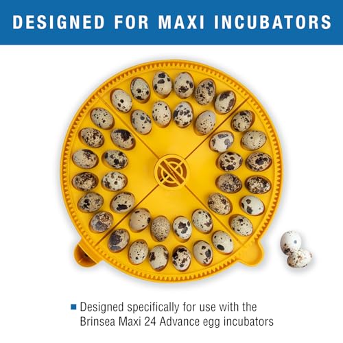 Brinsea Small Egg Quadrant Insert for Maxi Advance Incubator System, Fits 40 Pheasant or Quail-Size Eggs - Image 2