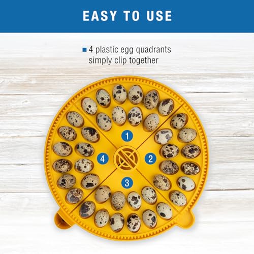Brinsea Small Egg Quadrant Insert for Maxi Advance Incubator System, Fits 40 Pheasant or Quail-Size Eggs - Image 5
