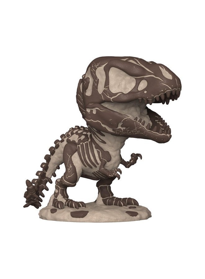 Funko Pop Movies: Jurassic Park Fossil - Tyrannosaurus - Collectable Vinyl Figure - Gift Idea - Official Merchandise - Toys for Kids & Adults - Action/Adventure Fans - Model Figure for Collectors - Image 2